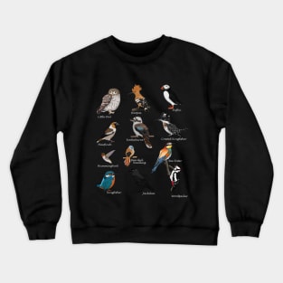 Colorful Garden Birds Bird Art Birdlover Birdwatcher Animal Crewneck Sweatshirt